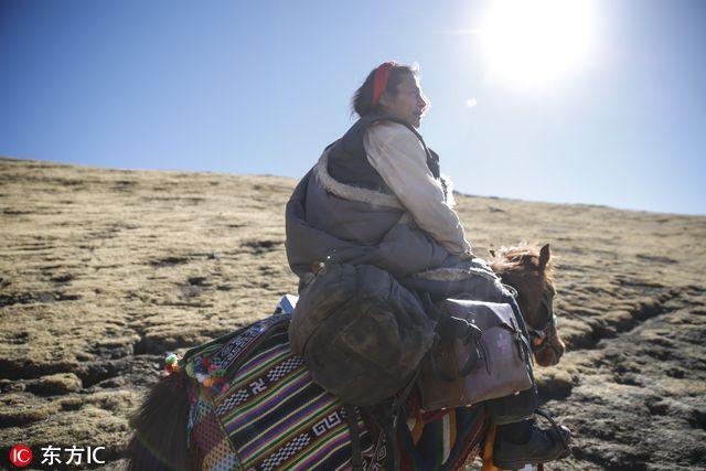 时代背景下的深度观察,24小时病人陪护价格分析