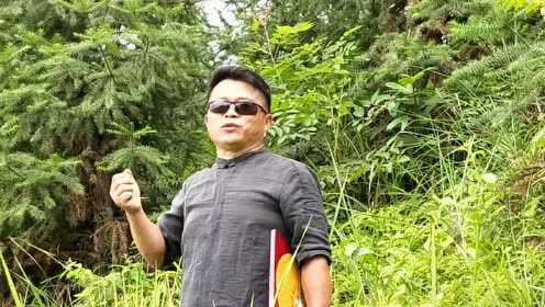 张子诚最新风水视频,揭秘运势之道,深度解读风水奥秘