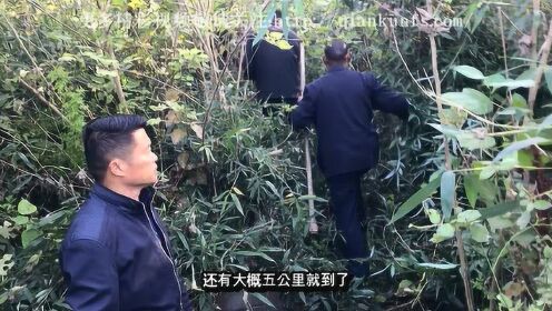 张子诚最新风水视频,揭秘运势之道,深度解读风水奥秘