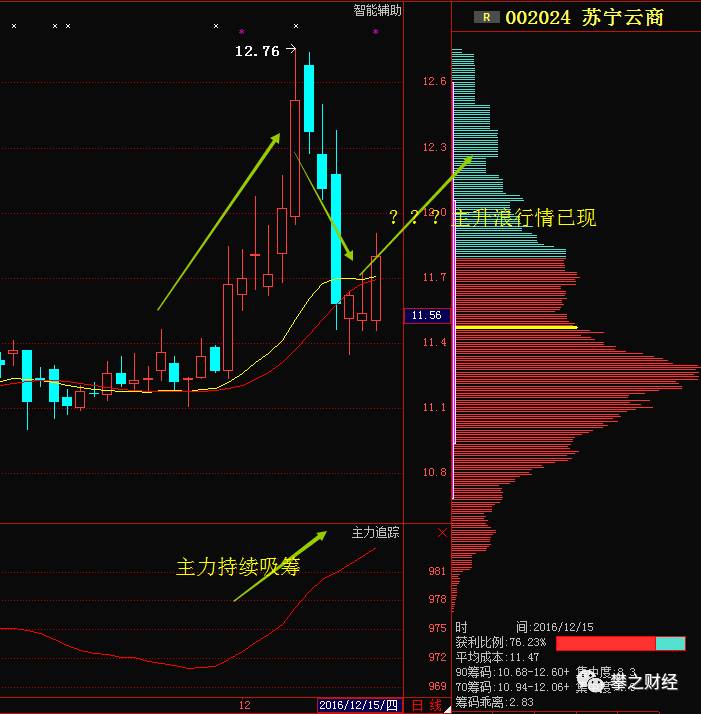 002024股票行情深度分析