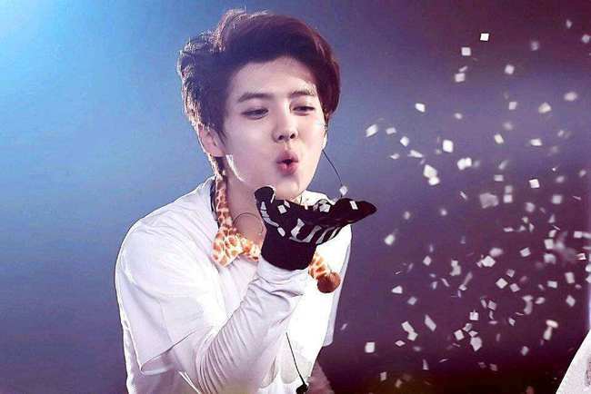 粉丝最多的明星背后的星光、友情与陪伴的温馨故事