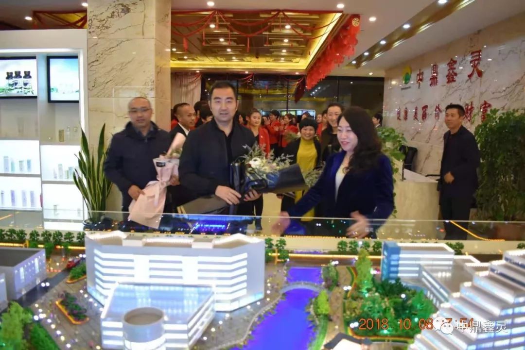 康婷最新资讯及观点论述概览