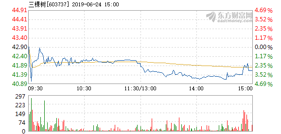 三棵树股票之旅,自然之旅的心灵鼓舞与股市洞察