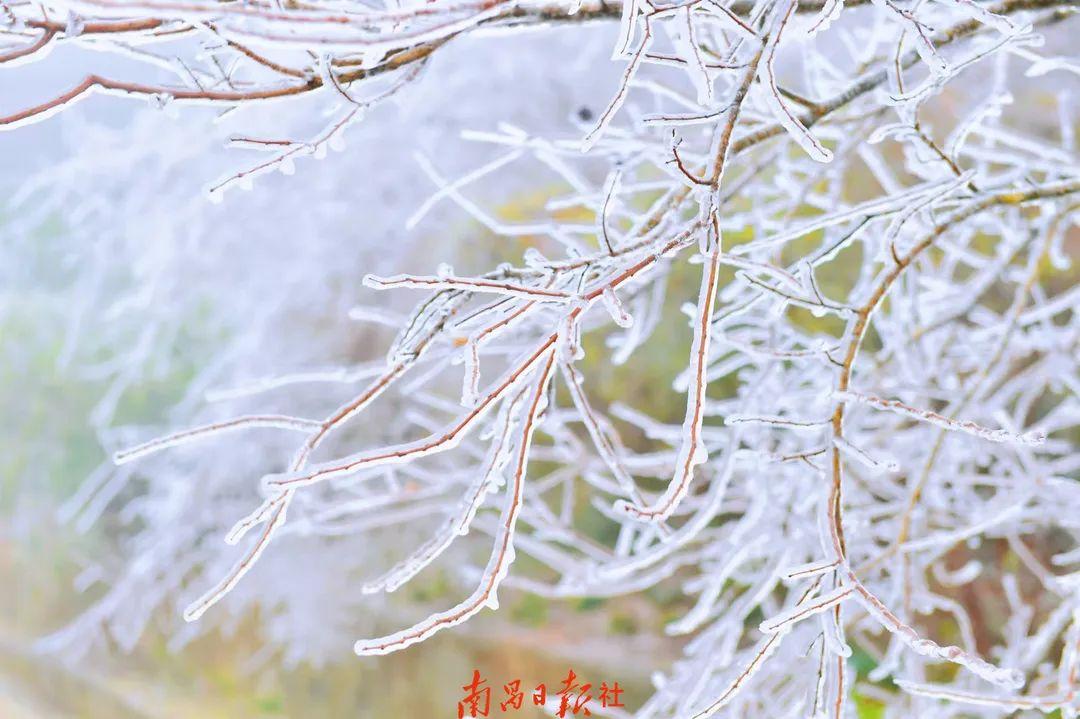 南昌最新动态,城市崛起及其影响