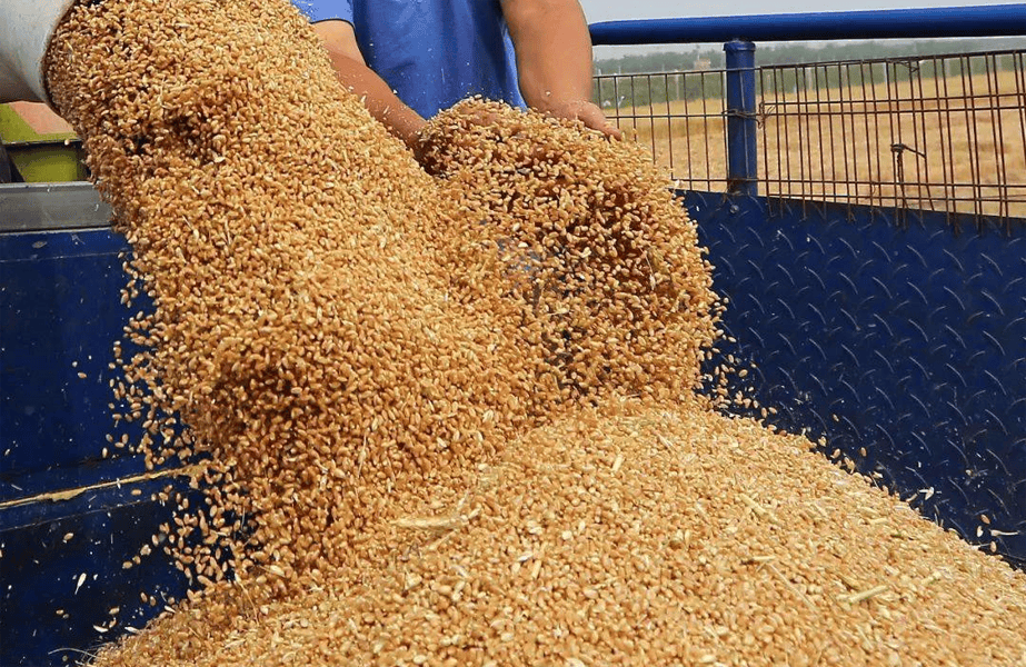 小巷深处的糠价行情与味觉盛宴