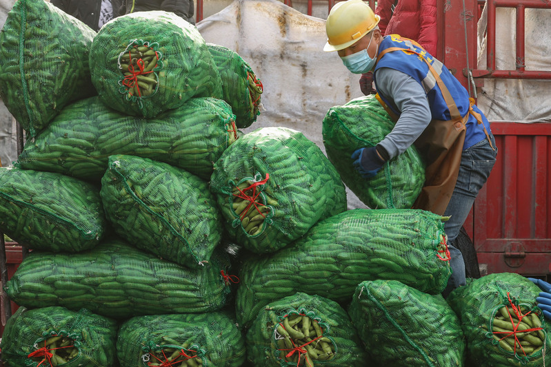 上海蚕豆价格最新动态,变化中的学习成就自信与喜悦
