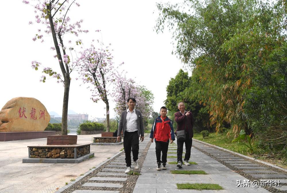 周华保险案最新进展揭秘