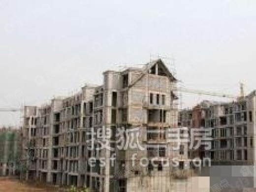 石家庄十里洋房最新房价动态，变化中的机遇与学习铸就的自信