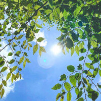 流行文化新风尚,演员卡通图片赏析