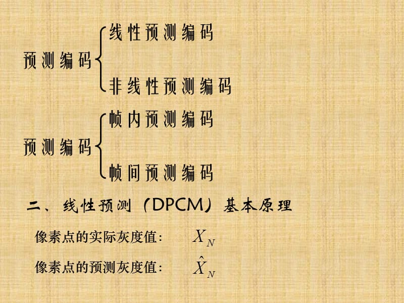 预测编码前沿,数字时代的革新引领者