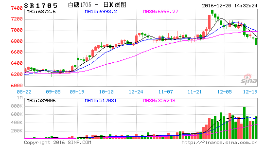 最新糖价揭秘,甜蜜背后的故事