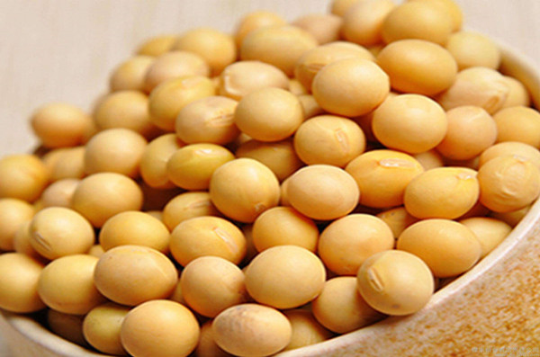 黄豆上市时间的多元观点解析与个人立场阐述