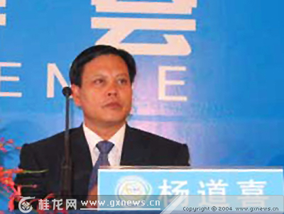 广西杨道喜最新动态揭秘,最新进展与消息汇总