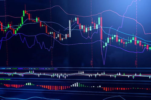 股票开盘背后的变化、学习与自信,一场励志之旅