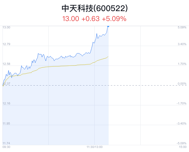 中天股份股票行情,时代的见证,行业的领航者