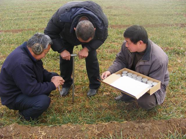 孟州吧近期动态,城市生活的温馨日常