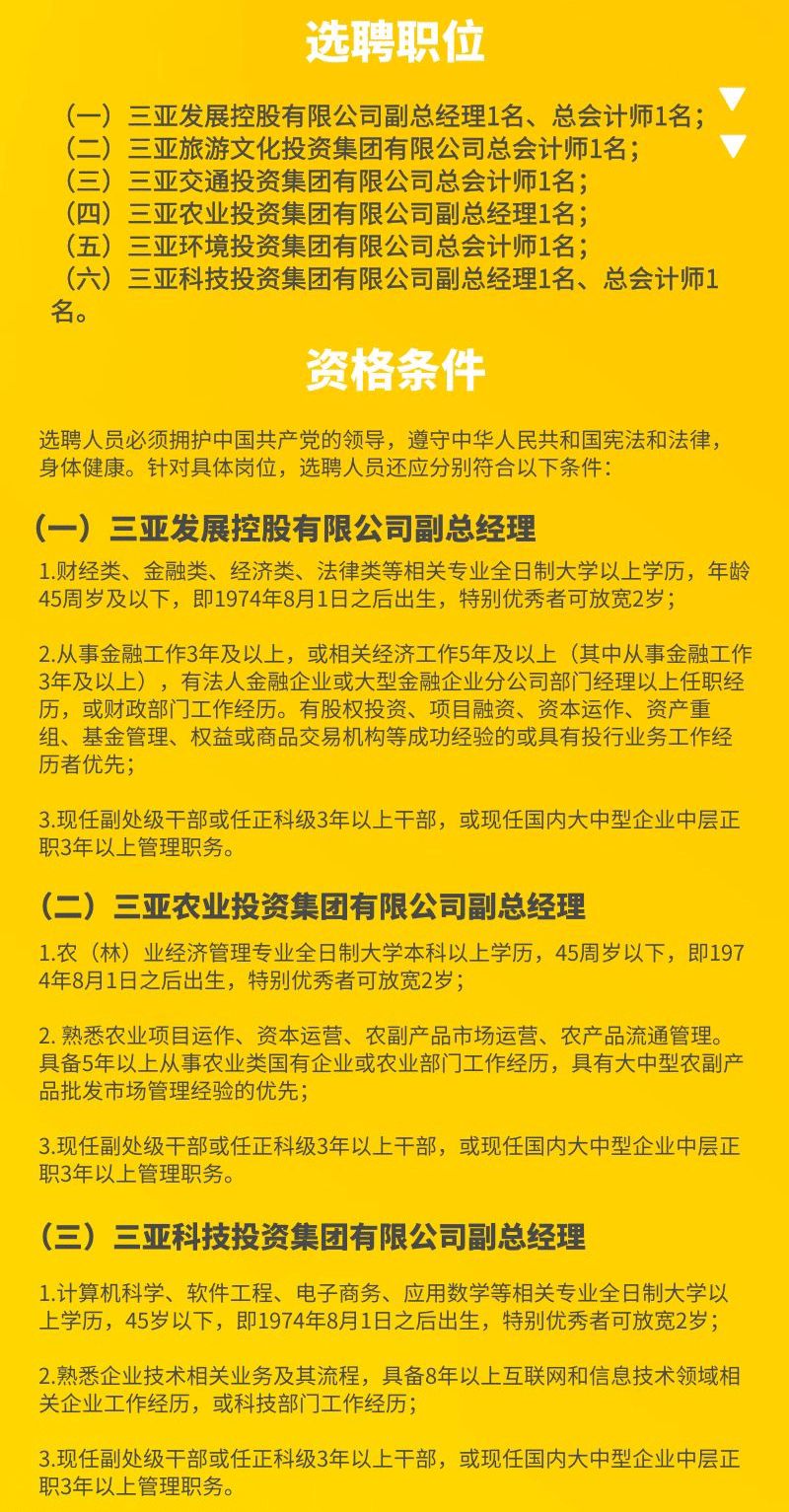三亚人才招聘信息揭秘，海南岛的职场机遇探索