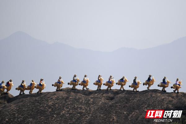 攀登人生高峰，趣味登山比赛体验自信与成就的魅力