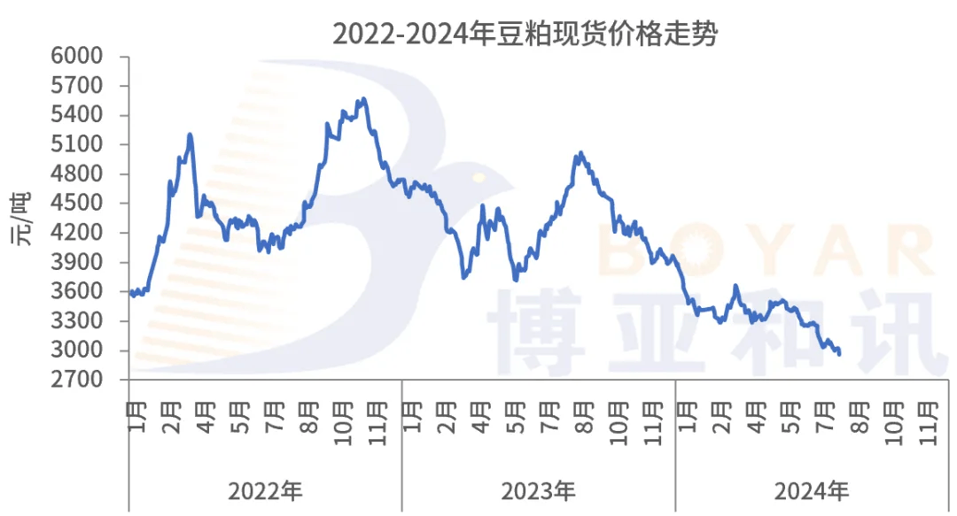 期货豆粕最新动态，市场风云的实时见证者
