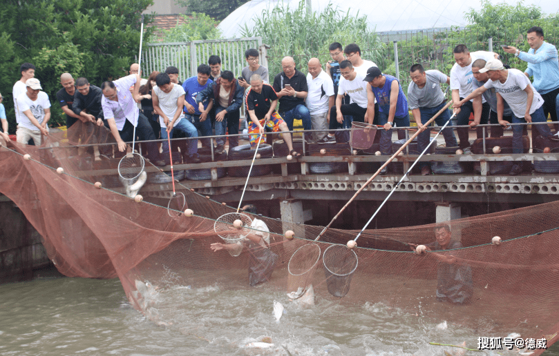 钓鱼比赛全攻略,步骤指南、技能提升与比赛总结