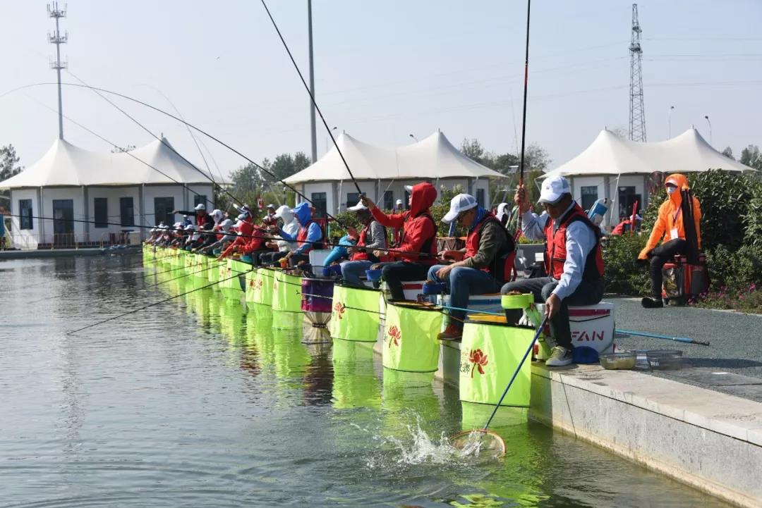 钓鱼比赛全攻略,步骤指南、技能提升与比赛总结