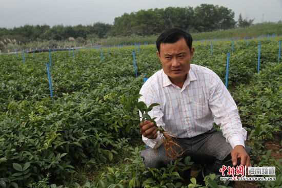 最新白沙资讯，自然美景探秘之旅，寻找内心的平和宁静