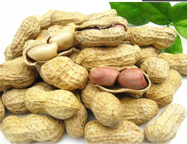 越南花生米最新行情概览与指南