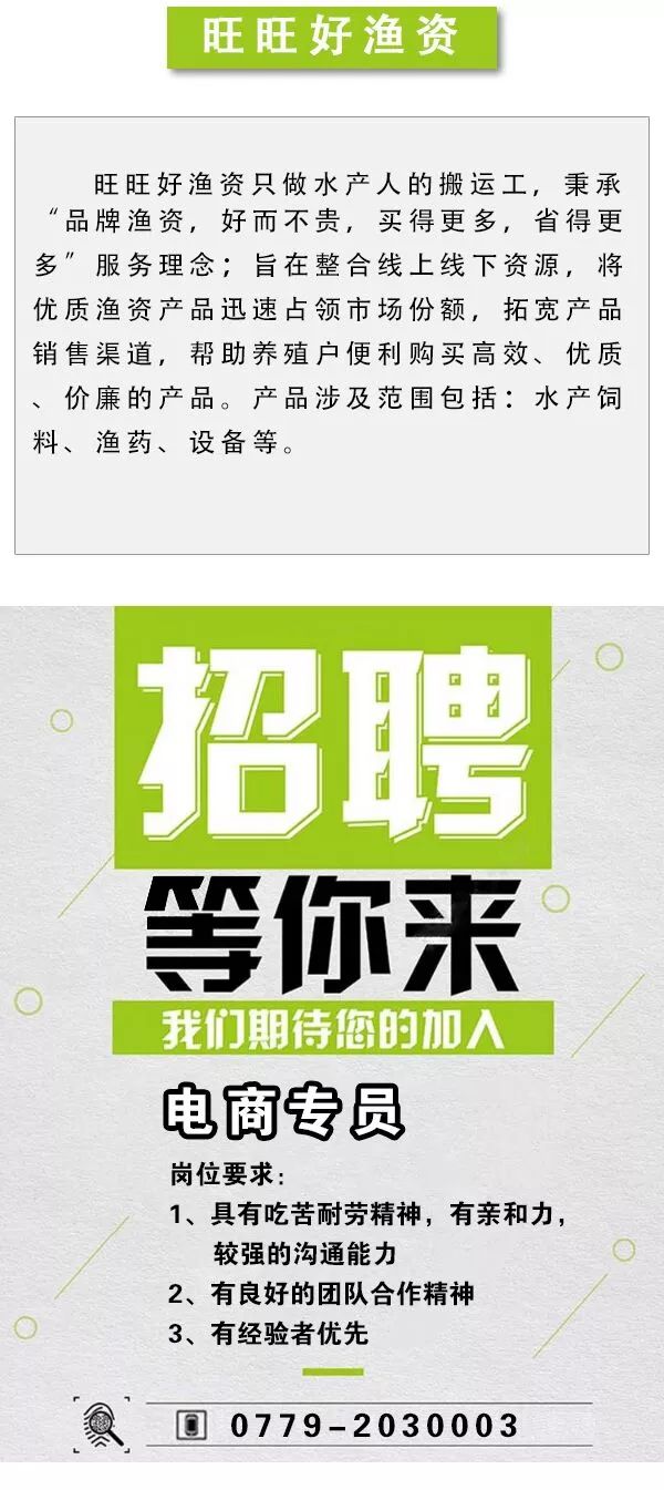 钢铁英才网最新职位招聘，捕捉钢铁行业的繁荣脉搏
