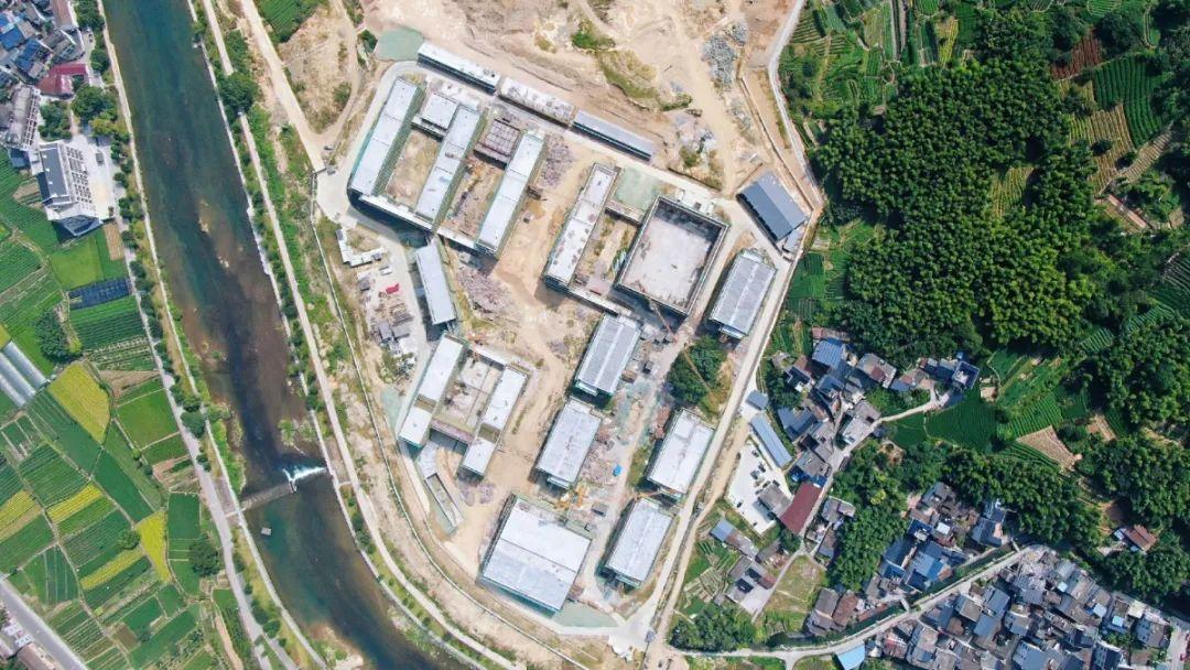 丽水最新疫情通报详解，初学者与进阶用户应对疫情的步骤指南