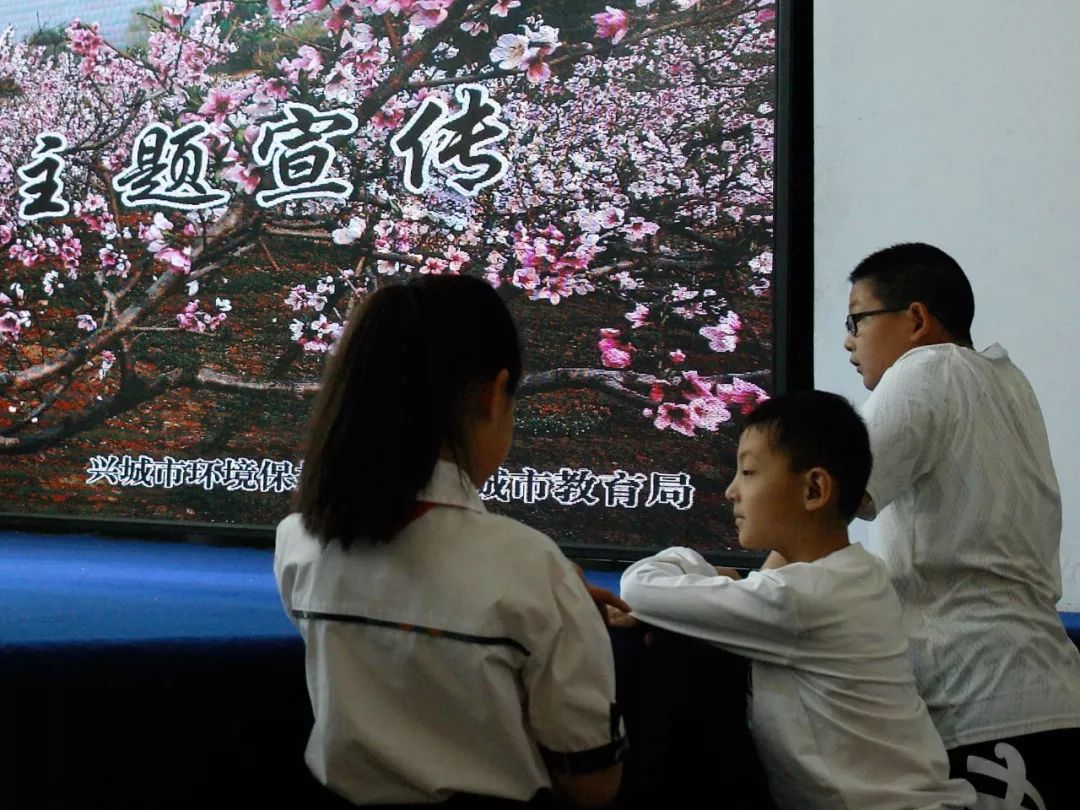 安徽书法赛事最新动态，墨香中的温情故事展现风采