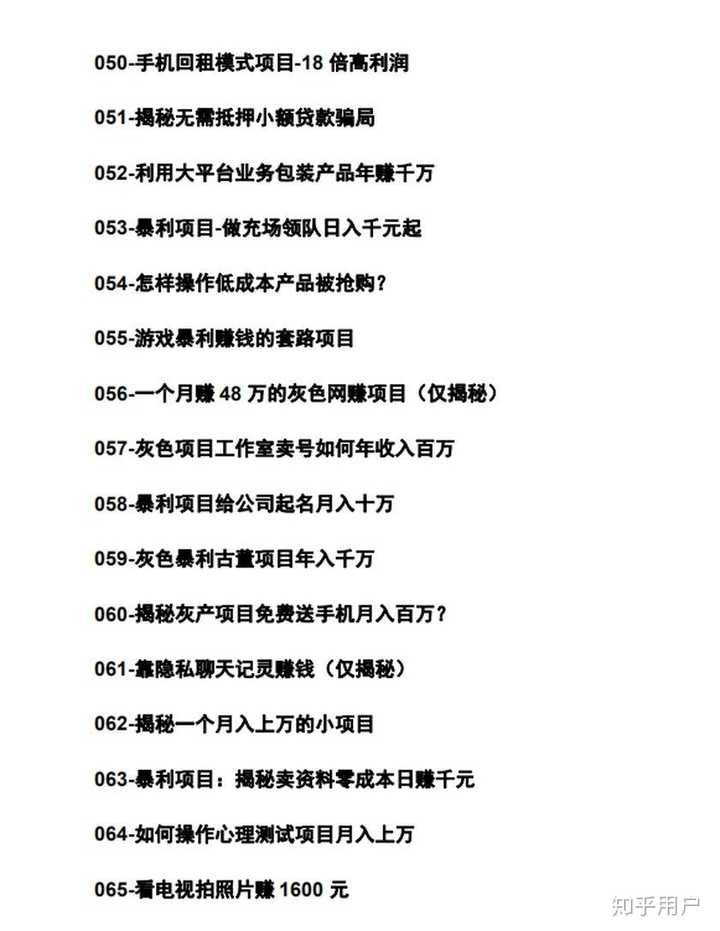 最新网络赚钱项目详解，探索与解析之路