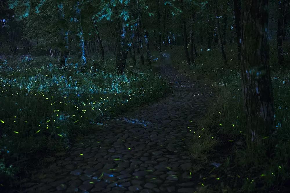 龙族五最新章节揭秘,解锁新篇章的步骤指南