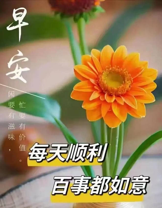 朝阳之姿，拥抱学习与成长的力量——最新早安美图分享