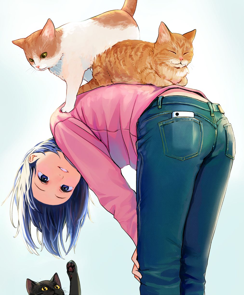 猫咪动漫人物，从二次元走进现实的心爱角色盘点