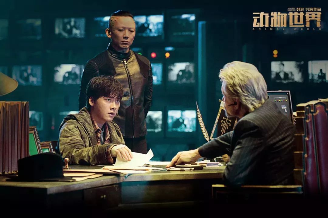 最新电影概览，热门影片及观点阐述