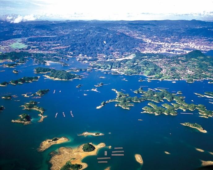 全球军事动态资讯,多元视角下的观察与深度解析