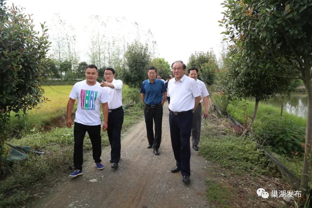 合肥最新灾情动态更新🚨