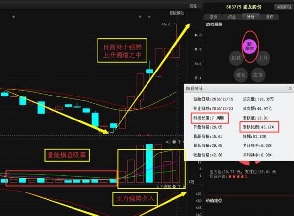 积成电子股票股吧，小巷中的电子科技宝藏之门
