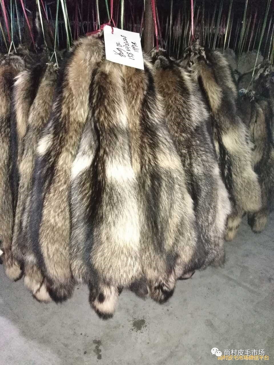 最新貉皮市场价格行情及趋势分析