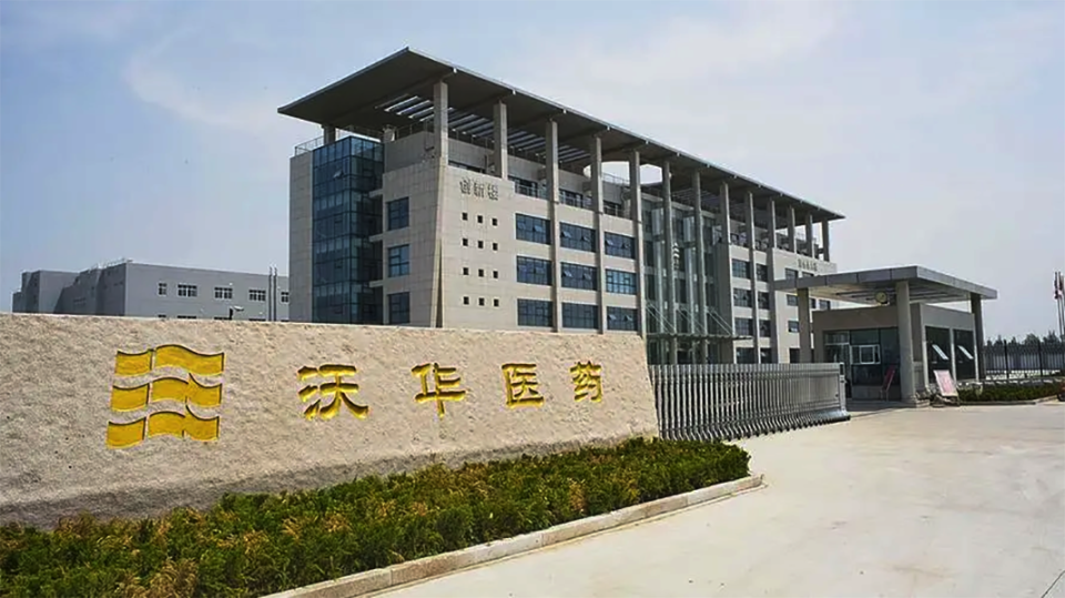 沃华医药最新动态与小巷特色小店探秘揭秘