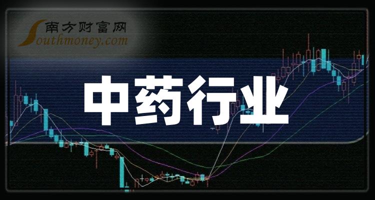 股票研究，历史背景、重大事件与时代印记的探究