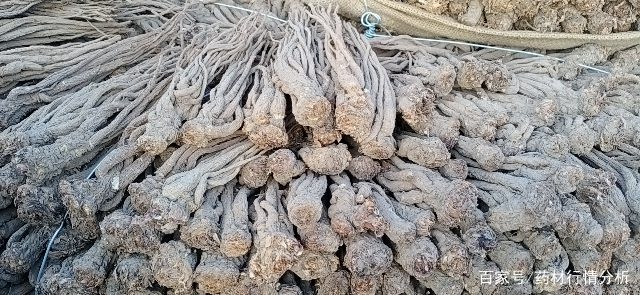 甘肃当归最新价格行情详解，获取与分析方法指南
