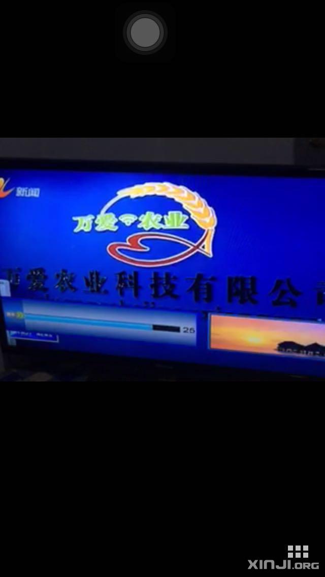 辛集电视台直播的影响力与观点深度剖析
