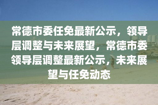 常德市委任免公示，人事变动背后的自信与成就感展望