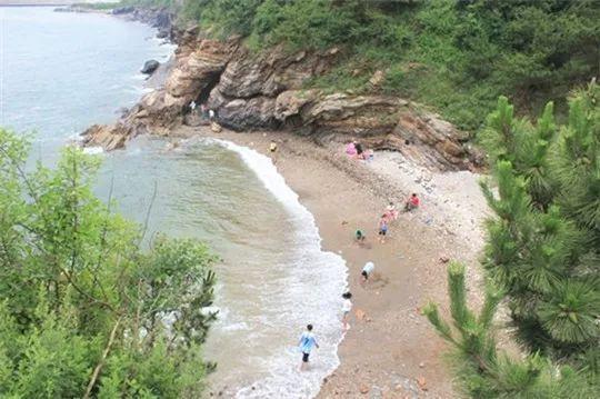大连游泳比赛，从深海游向成功之路