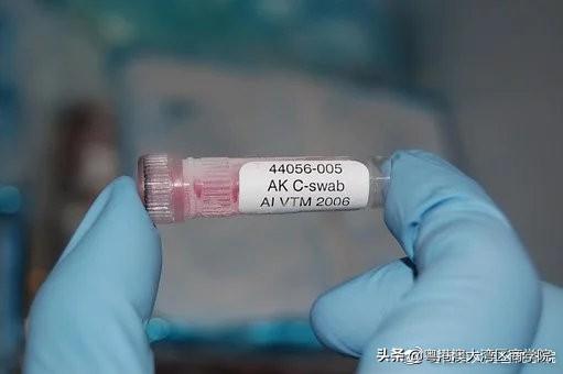最新猪流感疫情动态更新