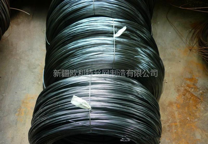 安平盘条最新价格,市场走势、影响因素及选购指南全解析