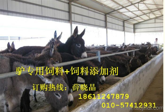 时代背景下的驴业发展，北方驴舍建设最新效果图亮相