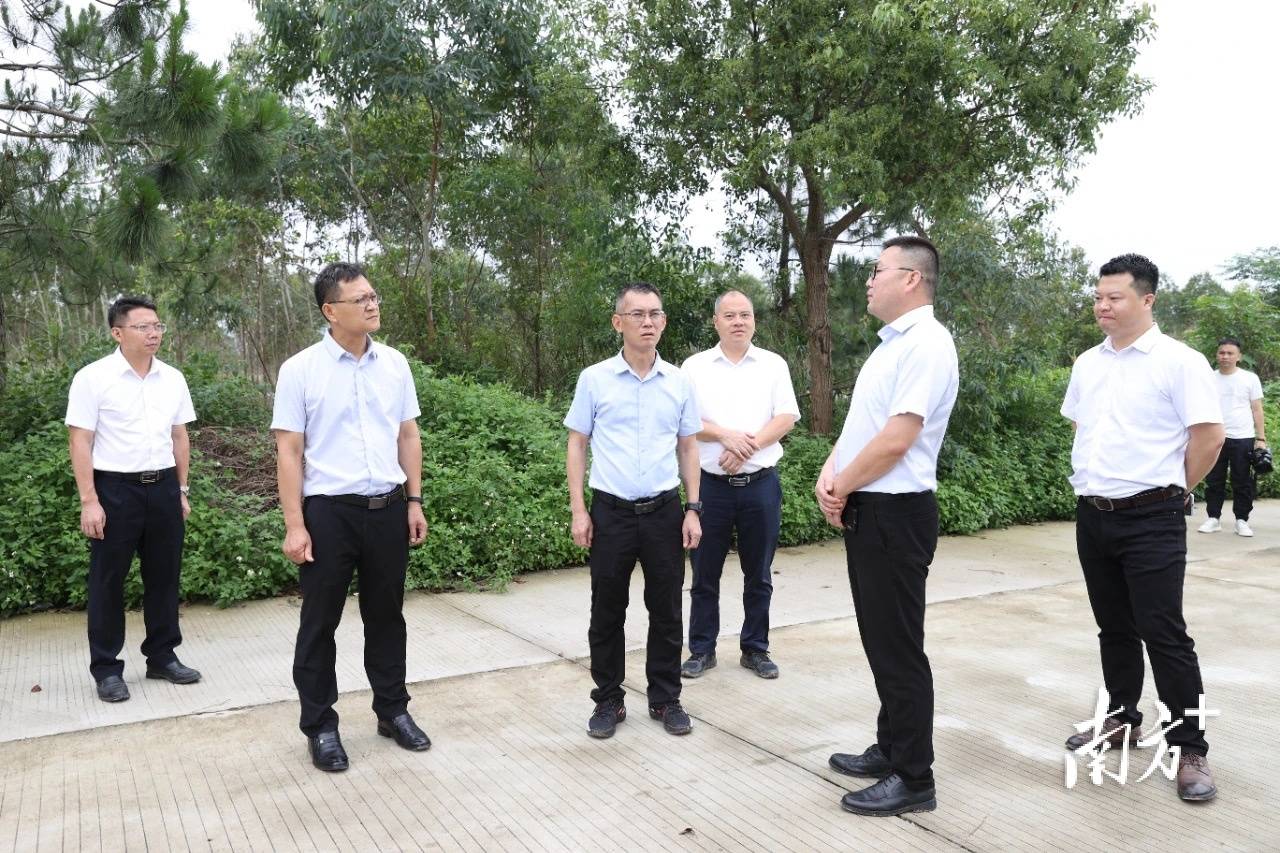 阳江市岑国健的最新动态更新，最新消息一览