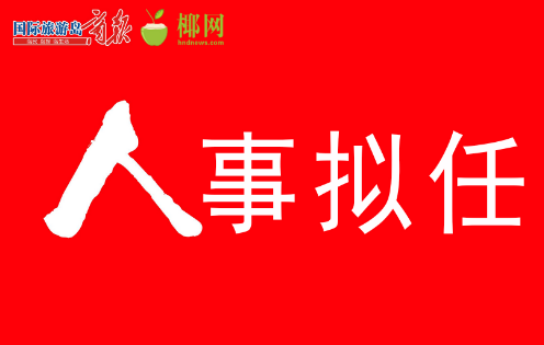 河北省委最新人事任命详解，步骤指南与初学者进阶参考